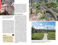DuMont Reise-Taschenbuch Reiseführer DuMont Reise-Taschenbuch Bayerischer Wald, Regensburg, Oberpfälzer Wald